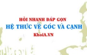 Hệ thức về góc và cạnh trong tam giác vuông Toán lớp 9 - Hỏi nhanh đáp gọn